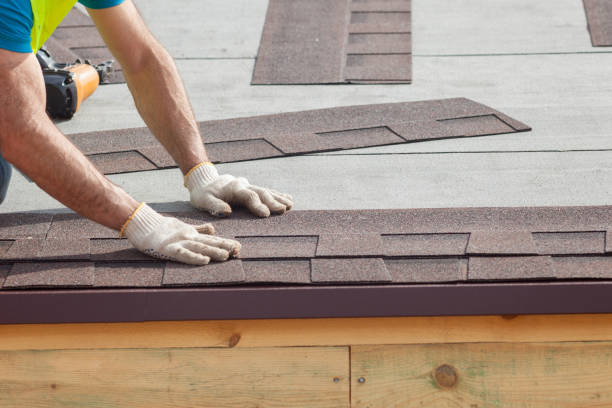 Best Asphalt Shingle Roofing  in Nederland, TX